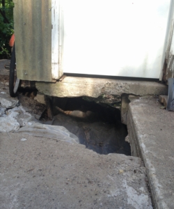 greenhouse door